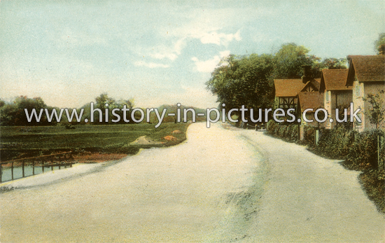 London Road towards Epping Forest, Epping. c.1905